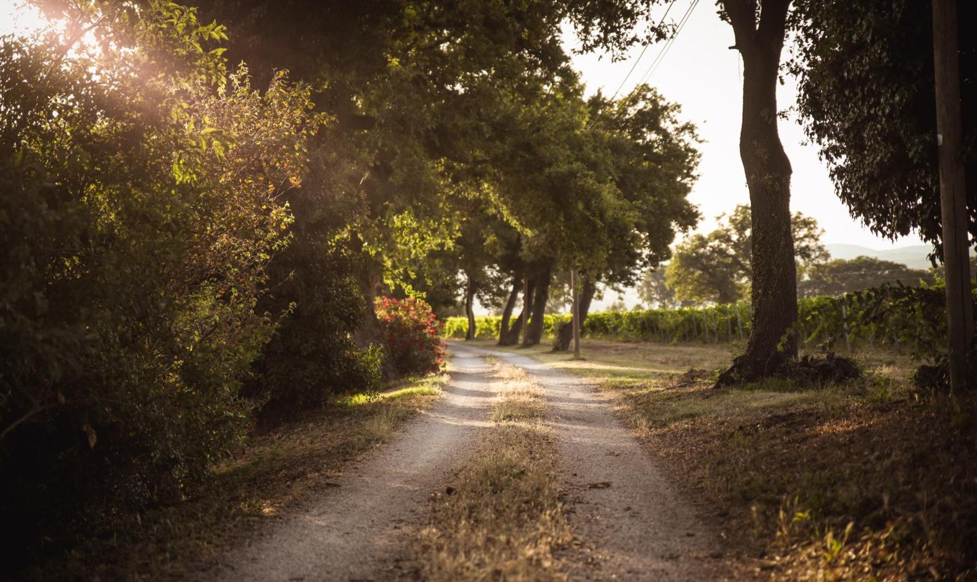Agriturismo La Vecchia Quercia Montemerano Eksteriør billede